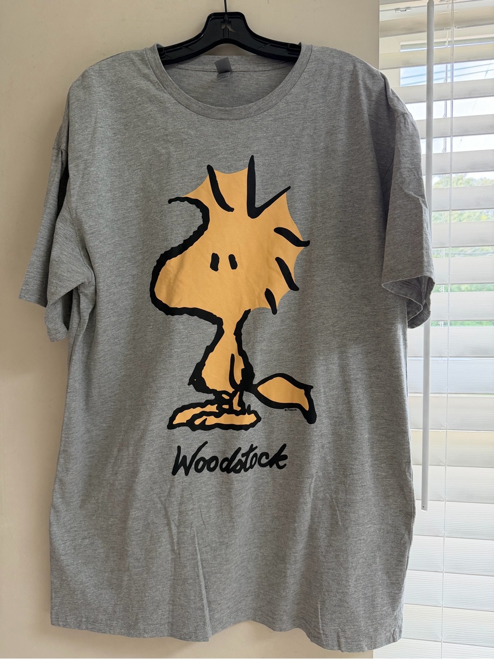Woodstock Graphic Tee - Heather Gray with Yellow Print